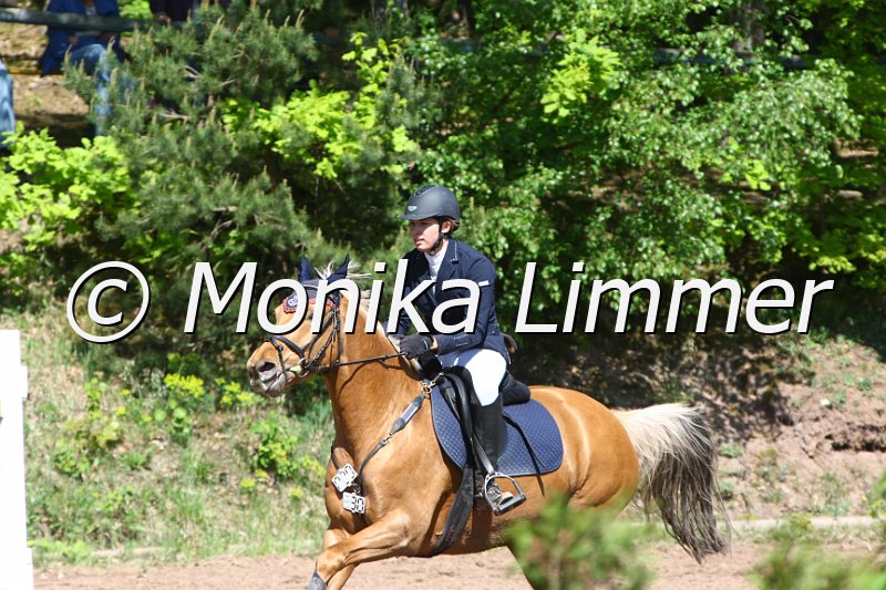 104M8474_Spring L.JPG